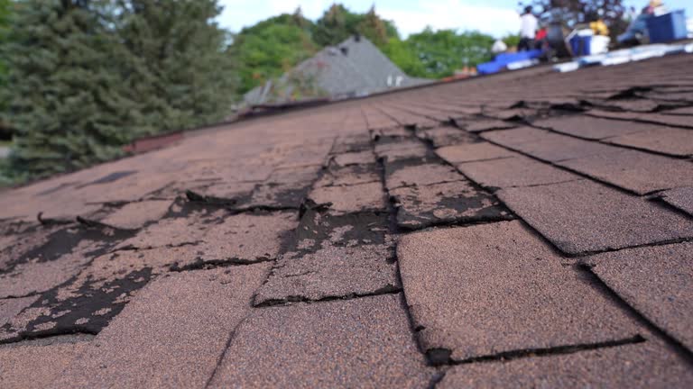 Best Roof Leak Repair  in Delevan, NY